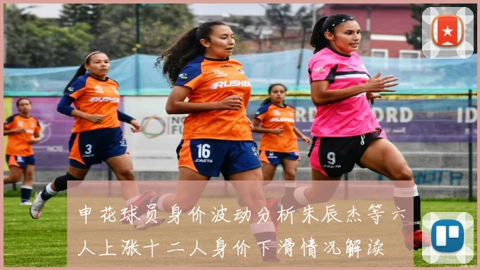 申花球员身价波动分析朱辰杰等六人上涨十二人身价下滑情况解读